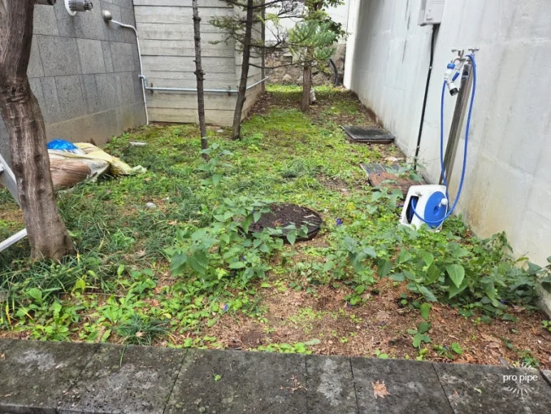 SE-9df706f2-ae64-11f0-a97b-ab3a22c47561
