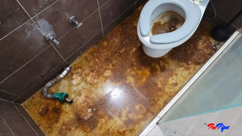 상가 화장실 바닥 오수 역류 현장